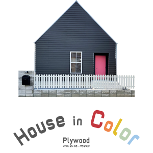 HOUSE in Color Plywood